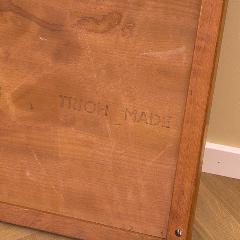 Danish side table in teak by Trioh